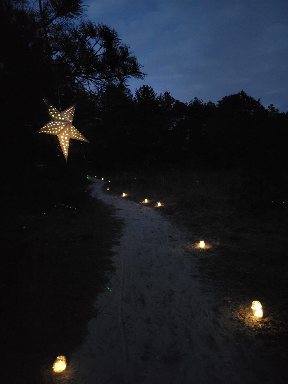 The Light the Night Walk at Quogue Wildlife Refuge is a fun holiday tradition. COURTESY QWR STAFF