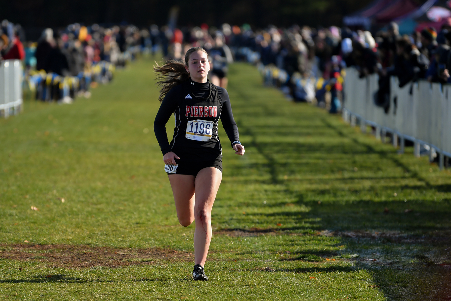 Bennett Greene ANDY CAMP