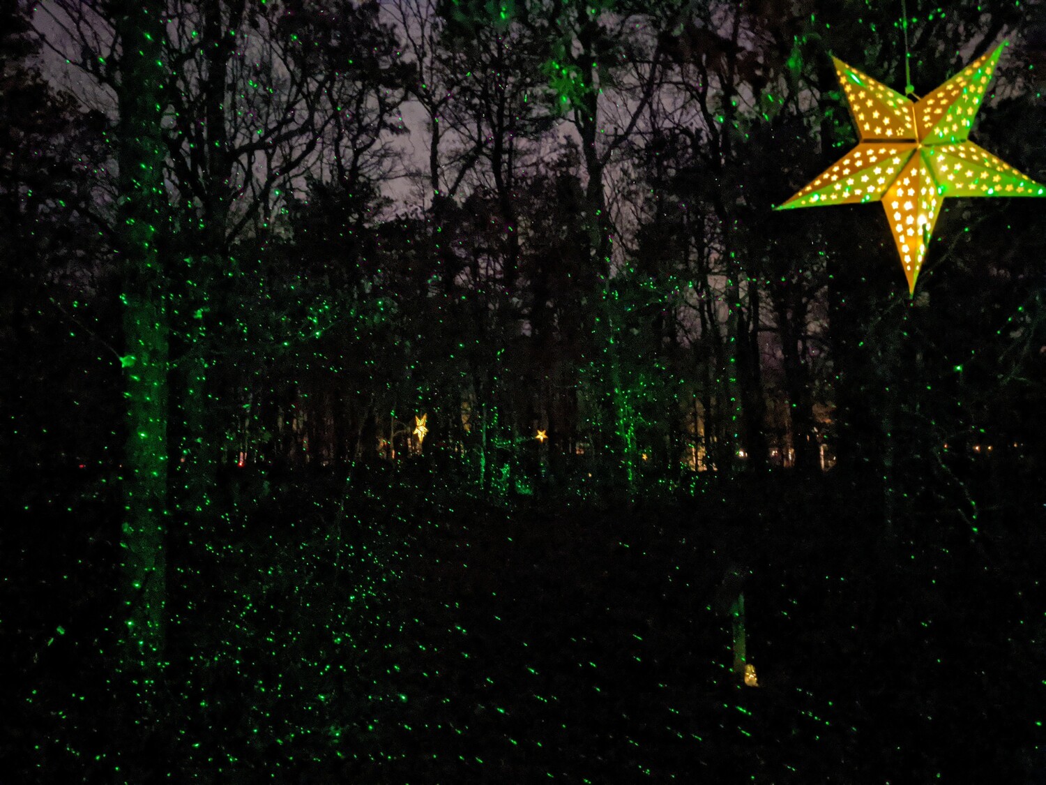 The starry path on the Light the Night trail walk at Quogue Wildlife Refuge. DOUG STEINBERG