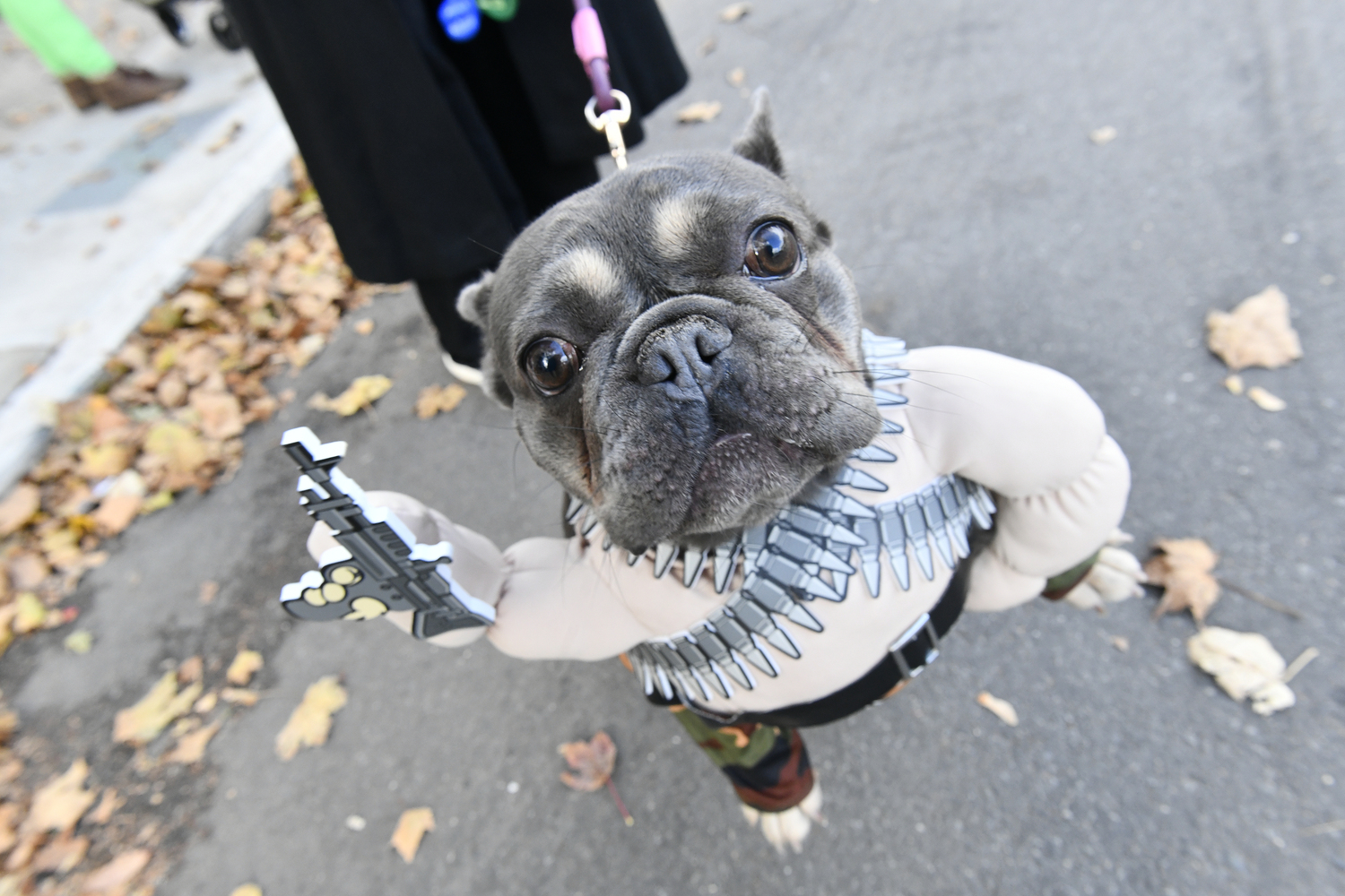 Everyone dressed up for the Sag Harbor Elementary Halloween parade on Main Street on Friday in Sag Harbor.  DANA SHAW