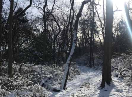 Nature Scavenger Hunt (Cutchogue)