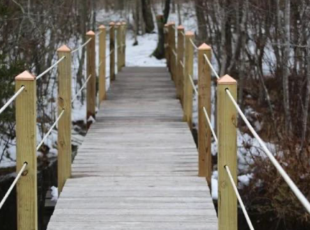 Cranberry Bog Preserve Walk (Riverhead)
