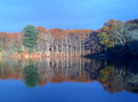 Annual Walk It Off Walk