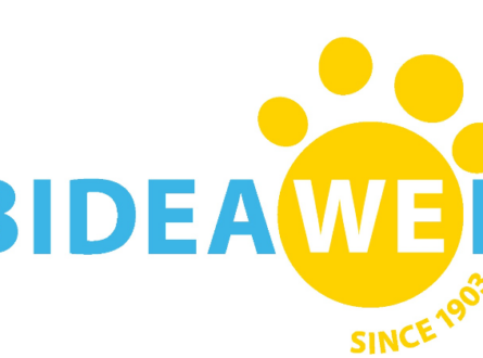 FIND OUT HOW TO FOSTER A FURRY FRIEND AT NO COST TO YOU!