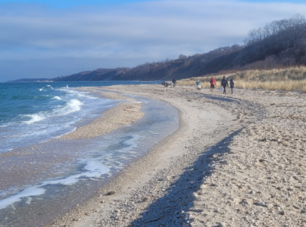 First Day Hike & Beach Clean-Up w. AMSEAS at Hallock State Park