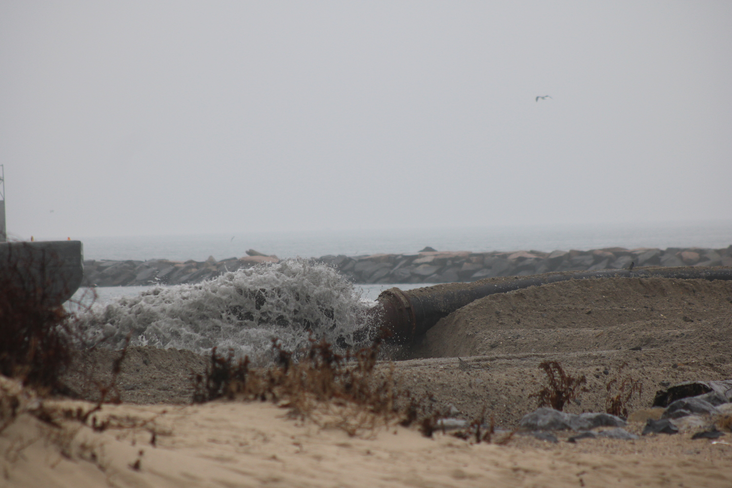 Dredging at Lake Montauk Inlet began late last week. Oyster Bay, the dredge, is pumping sand onto the beach on the west side of the inlet. Heavy machines then push and mold the sand onto the beach to fit a profile that the Army Corps of Engineers crafted. JACK MOTZ