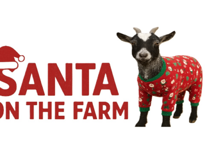 Santa on the Farm Weekend