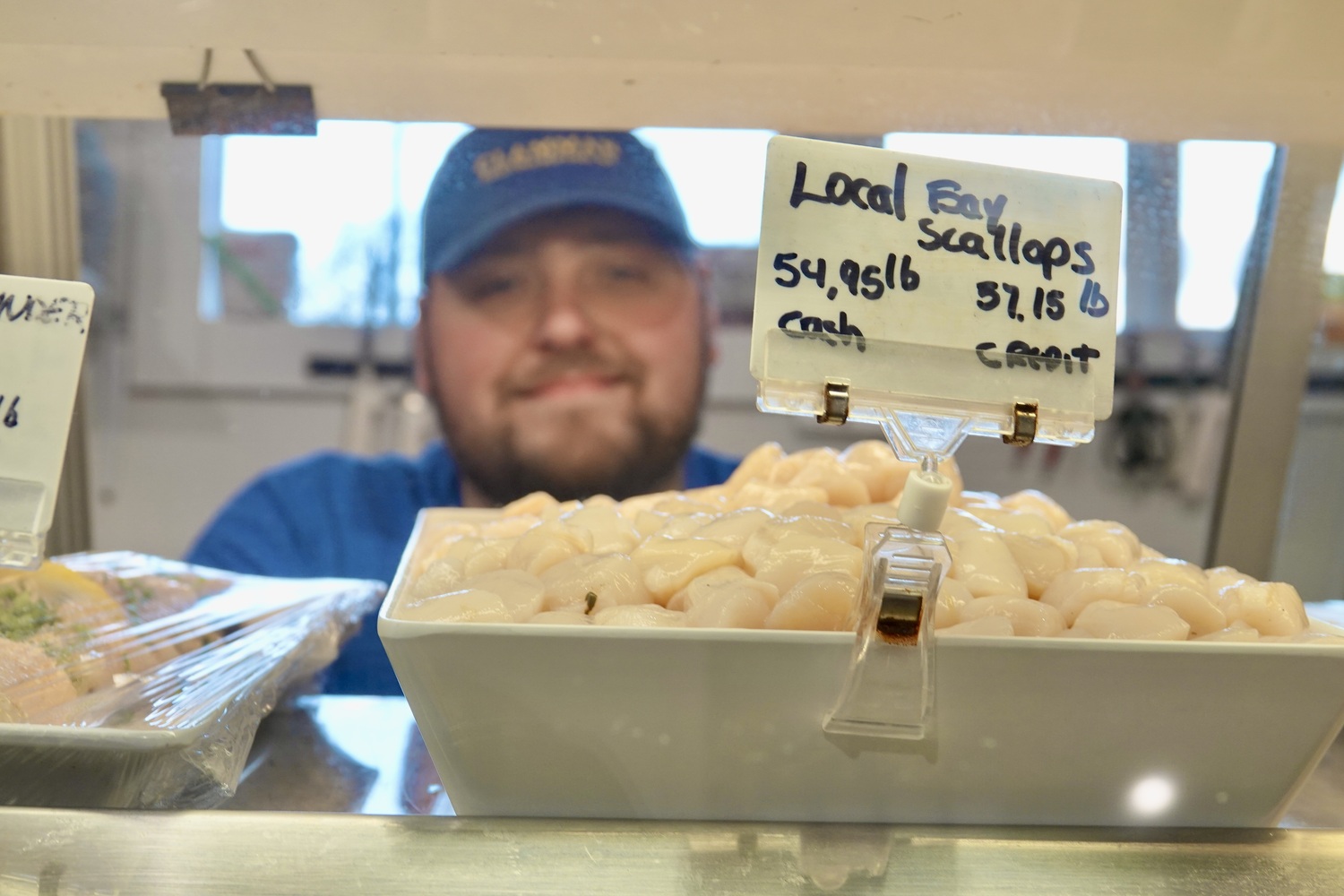 Local bay scallops hit the display cases at fish markets across the East End this past week at $55 a pound, reflecting the relative scarcity of the prized morsels after a seventh summer in which most of the adult bay scallops in local waters died over the summer. MICHAEL WRIGHT