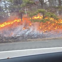 A brush fire broke out on Saturday afternoon along Sunrise Highway in East Quogue. JAMES SANDNES