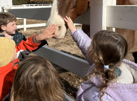 Saturday Camp AM and Extended Day Drop Off: 01/03 Snow Slime Workshop at the Green School!