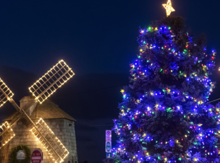 Light Up the Harbor!