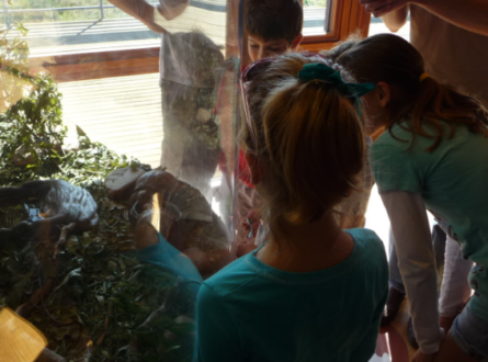 Feeding Time-Help Feed the Museum Animals. This program is for Children 6-8.