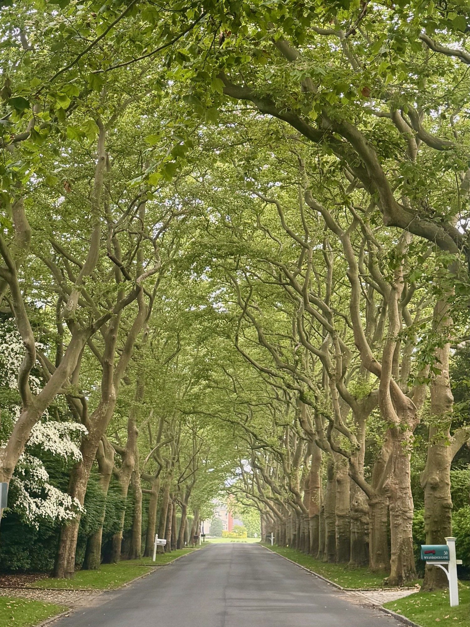 Southampton resident Eric Nastri has made a name for himself taking sunrise photos at various ocean beaches in Southampton. He also takes outdoor photos throughout the village. His Instagram page, Southamptondailyphoto, has nearly 5,000 followers. ERIC NASTRI