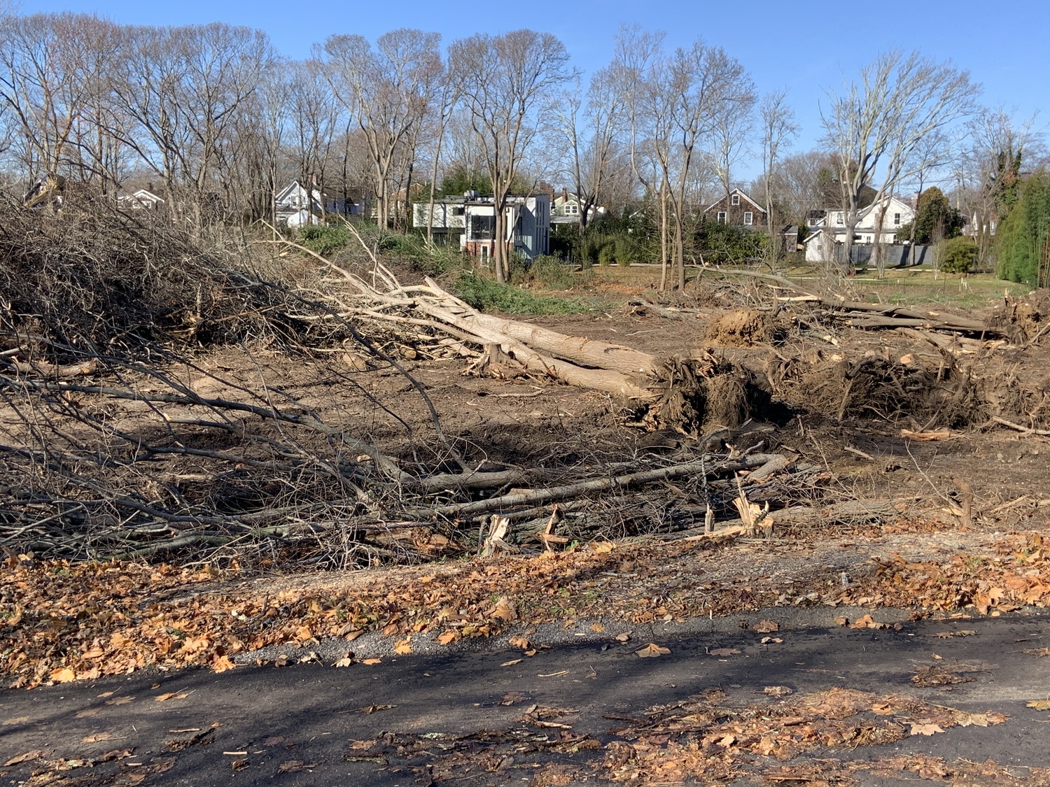 The total clearing of four lots on Marsden Street stunned many Sag Harbor residents, but it was approved by the Board of Historic Preservation and Architectural Review, which spent several months reviewing an application to build four houses on the site. STEPHEN J, KOTZ