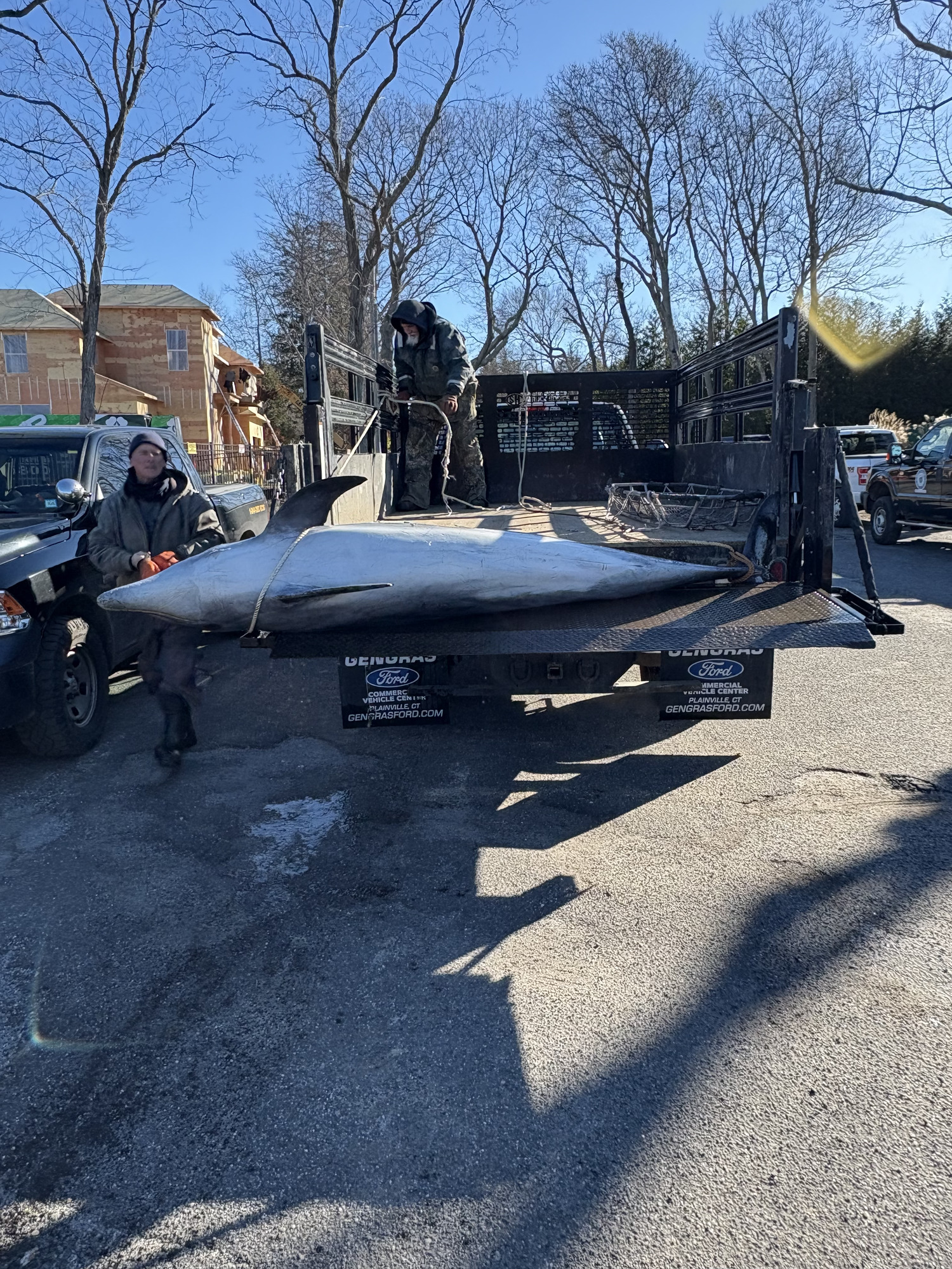The carcass of a dolphin that was stranded in Noyac Creek over the weekend was retrieved on Tuesday. COURTESY RANDY HAGERMAN