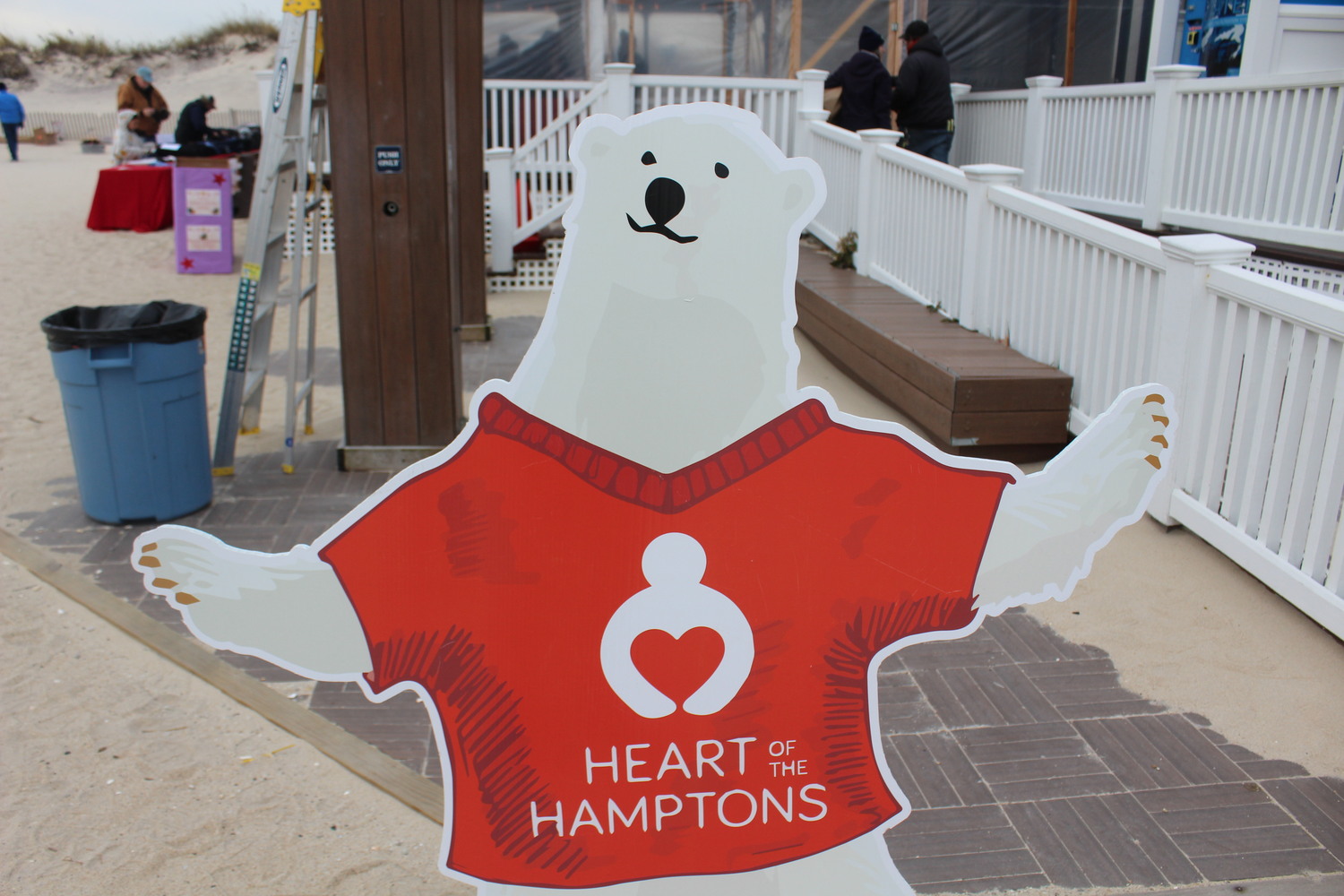The Polar Bear Plunge at Coopers Beach on Saturday.  LEE MEYER
