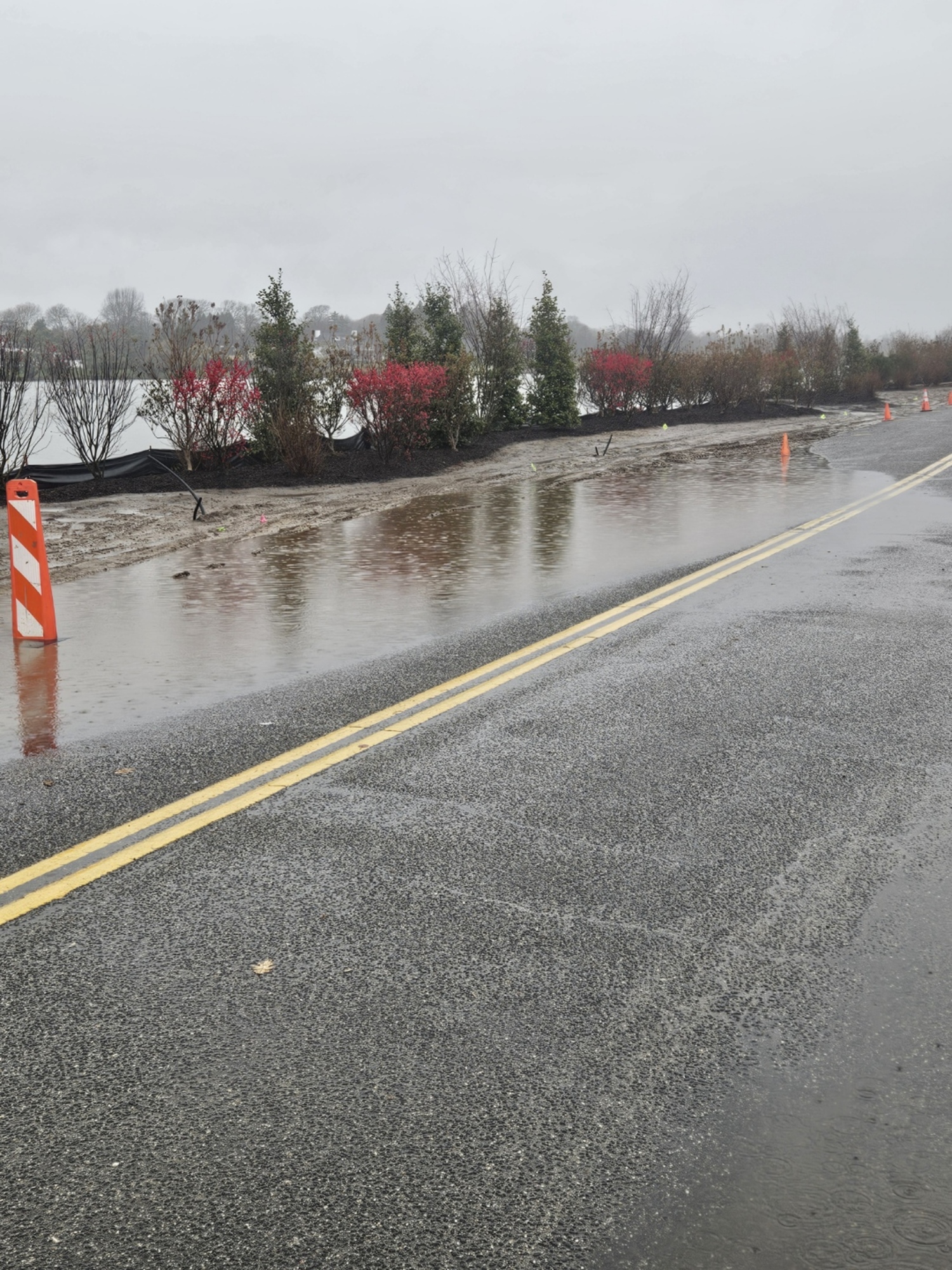 The Gin Lane bioswale was a topic of debate at the latest Southampton Village work session.