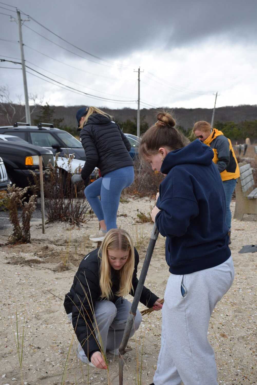 Students from Pierson High School’s Environmental Club partnered with local conservation groups to restore Long Beach by planting beach grass and dispersing native seed bombs to strengthen the dune ecosystem. COURTESY SAG HARBOR SCHOOL DISTRICT