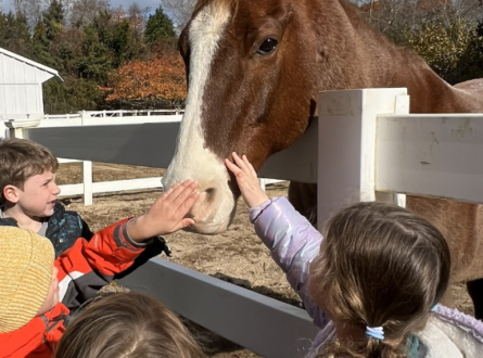 Saturday Camp AM Drop Off: 12/20 Gingerbread Baking at the Green School!