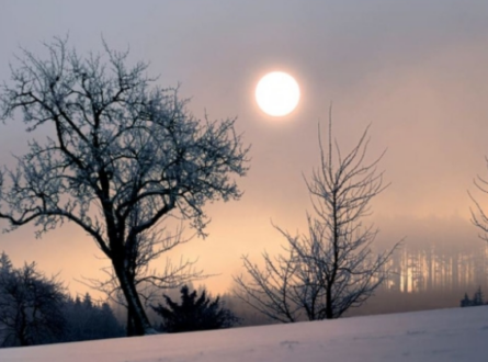 Weekly Service for Unitarian Universalist Congregation of the South Fork