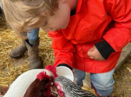 ​Saturday Camp AM and Extended Day Drop Off: 12/27 Gnome Workshop at the Green School!