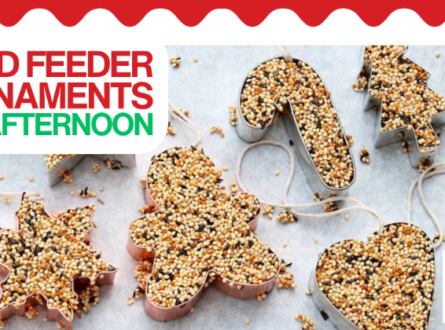 Bird Feeder Ornaments Crafternoon