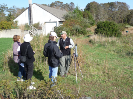Birding for Beginners
