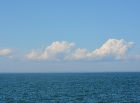 Have a Whale of a Time, Tour the East Hampton Town Marine Museum with Education Director Stacy Myers: Free for All Ages